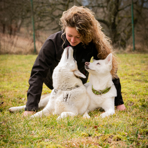 Sport mit Hund