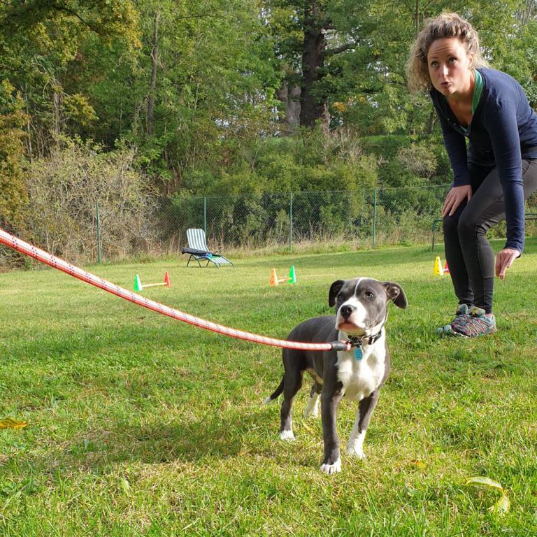 hundum Welpenschule Peppi